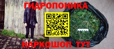мяу мяу мука Нальчик