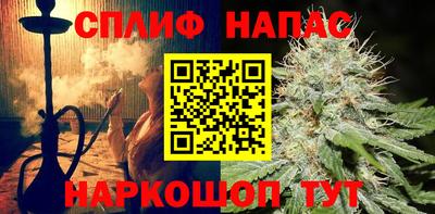 мяу мяу мука Нальчик