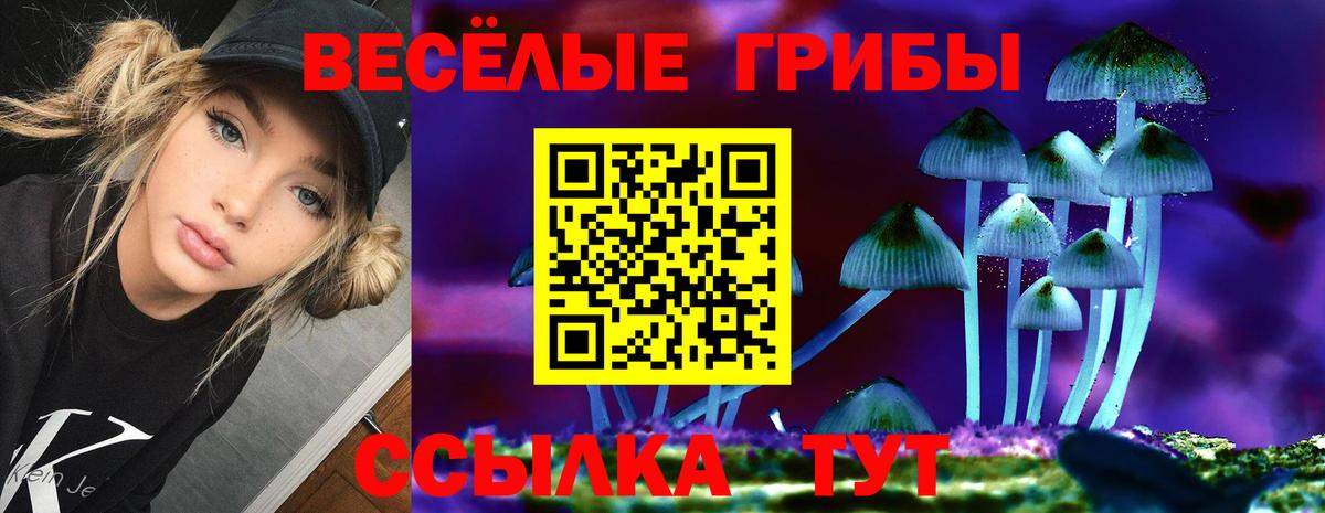 Евпатория  Псилоцибиновые грибы Magic Shrooms  Галлюциногенные грибы GOLDEN TEACHER  Вход с VPN 